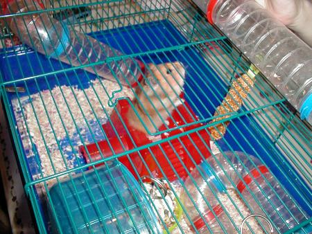 lili nous a quitt�  en mi janvier