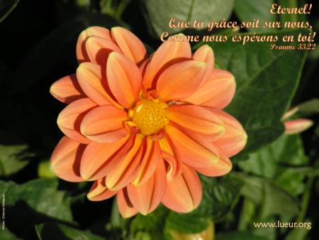 6. Le d�sir d'aider les autres: