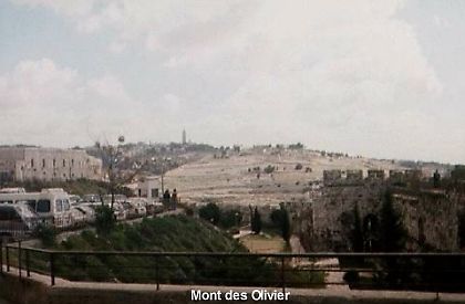 5. L'acceptation de l'adversit�: